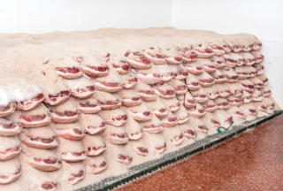 Jamones ibéricos en sal